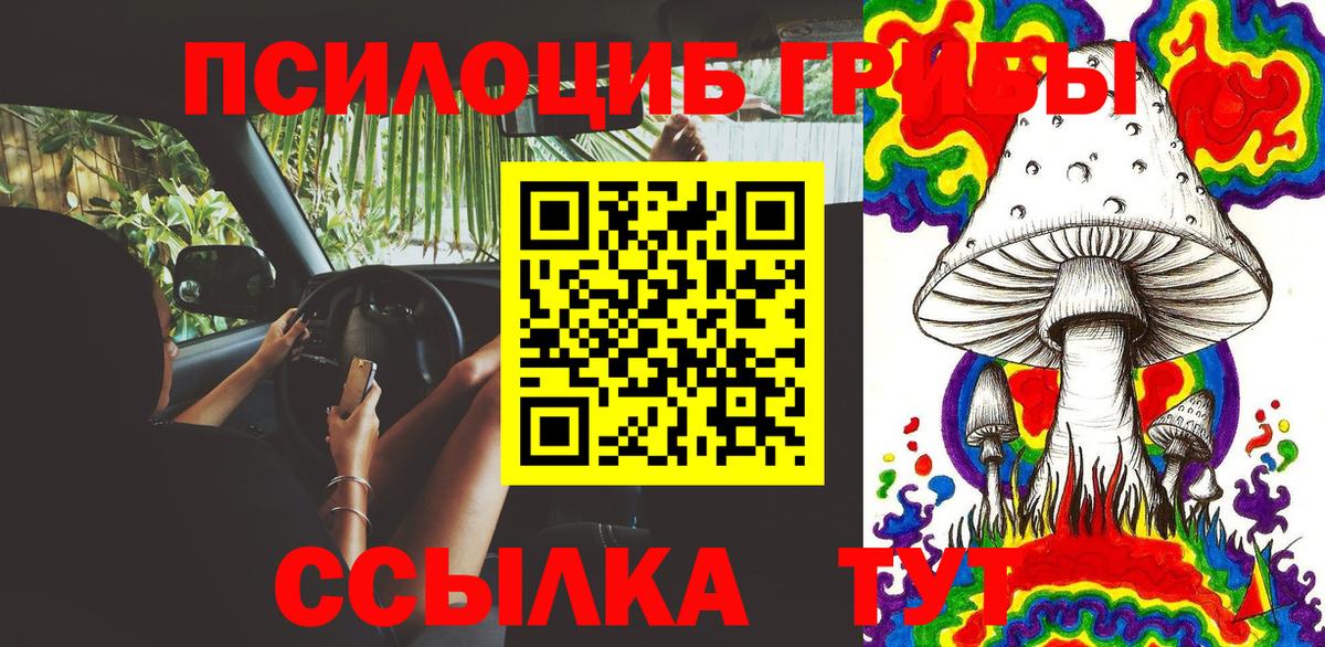 Псилоцибиновые грибы Psilocybe  Галлюциногенные грибы Psilocybine cubensis  Вход с VPN  Озёрск 